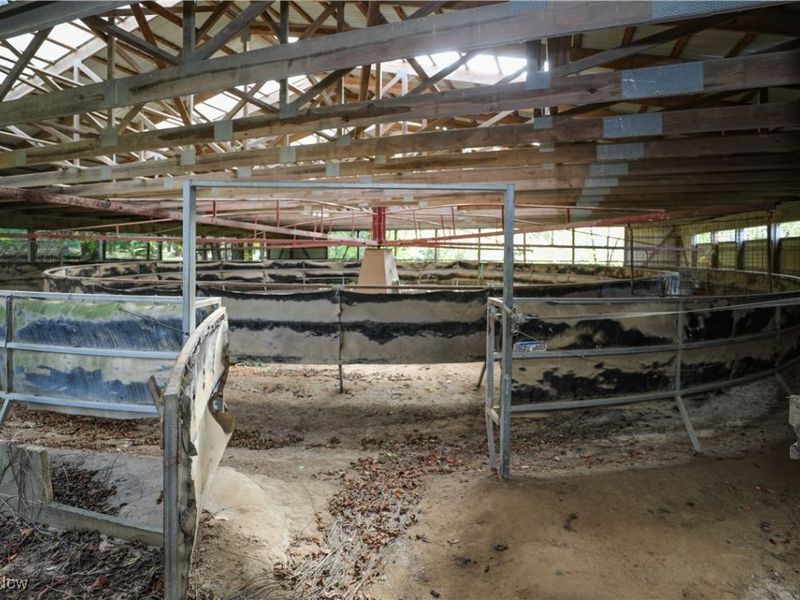 6720 Newton Falls Road, Ravenna, OH 44266 Photo 28