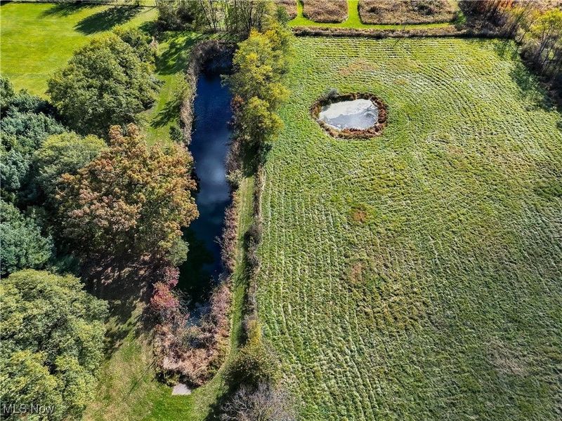 6720 Newton Falls Road, Ravenna, OH 44266 Photo 32