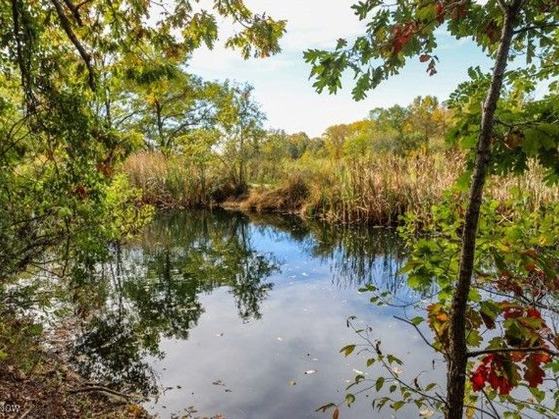 6720 Newton Falls Road, Ravenna, OH 44266 Photo 36