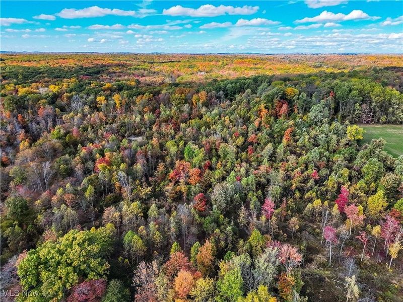 6720 Newton Falls Road, Ravenna, OH 44266 Photo 40