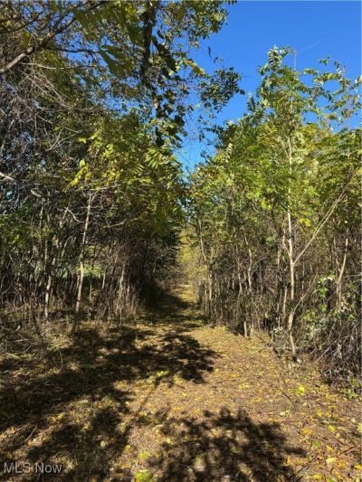 F B Eye Road, Blue Rock, OH 43720 Main Photo