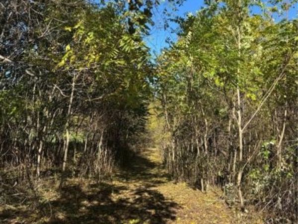 F B Eye Road, Blue Rock, OH 43720