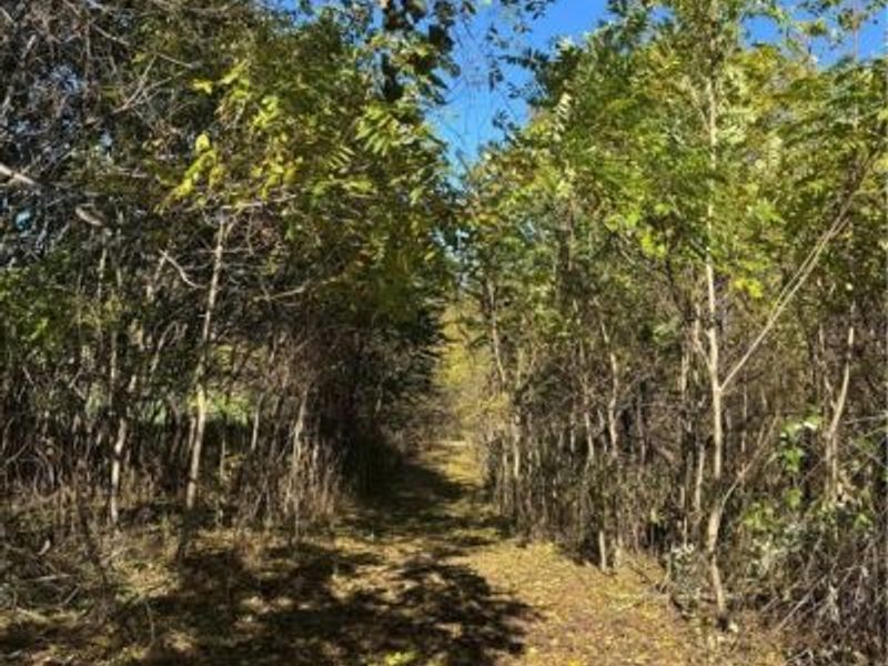 F B Eye Road, Blue Rock, OH 43720 Photo 1