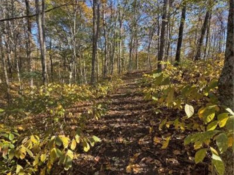 F B Eye Road, Blue Rock, OH 43720 Photo 10