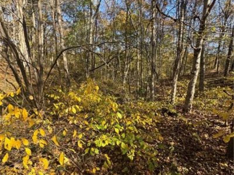 F B Eye Road, Blue Rock, OH 43720 Photo 11