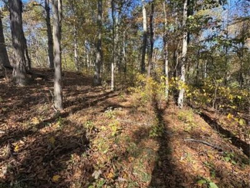 F B Eye Road, Blue Rock, OH 43720 Photo 13