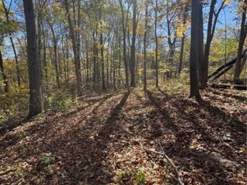 F B Eye Road, Blue Rock, OH 43720 Photo 14