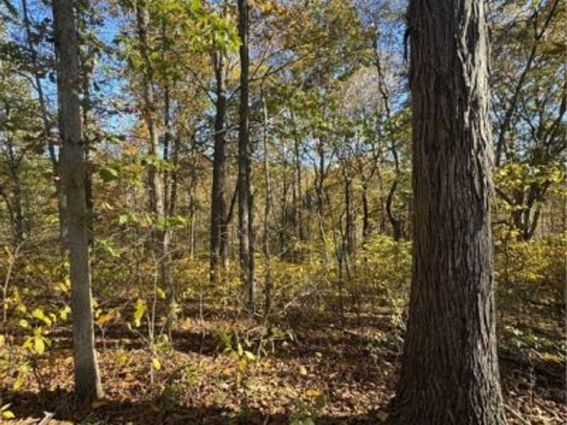 F B Eye Road, Blue Rock, OH 43720 Photo 15