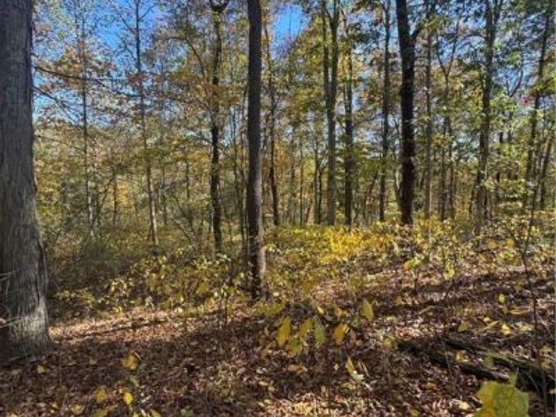 F B Eye Road, Blue Rock, OH 43720 Photo 16