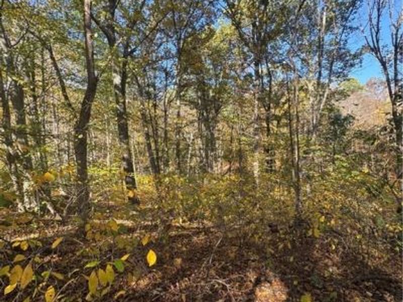 F B Eye Road, Blue Rock, OH 43720 Photo 17