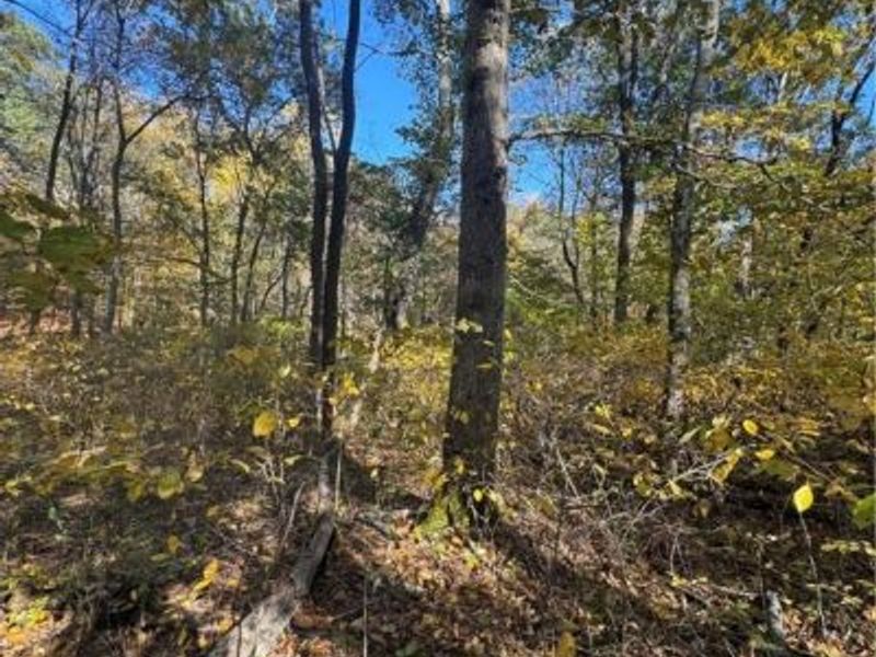 F B Eye Road, Blue Rock, OH 43720 Photo 18