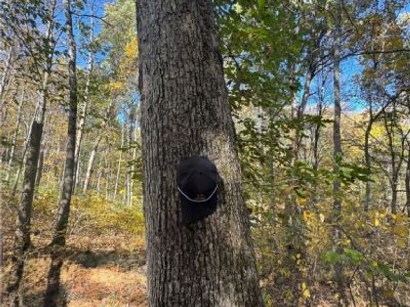 F B Eye Road, Blue Rock, OH 43720 Photo 19