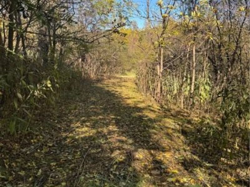 F B Eye Road, Blue Rock, OH 43720 Photo 2