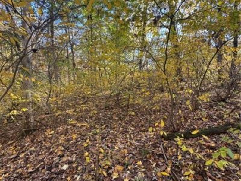 F B Eye Road, Blue Rock, OH 43720 Photo 20