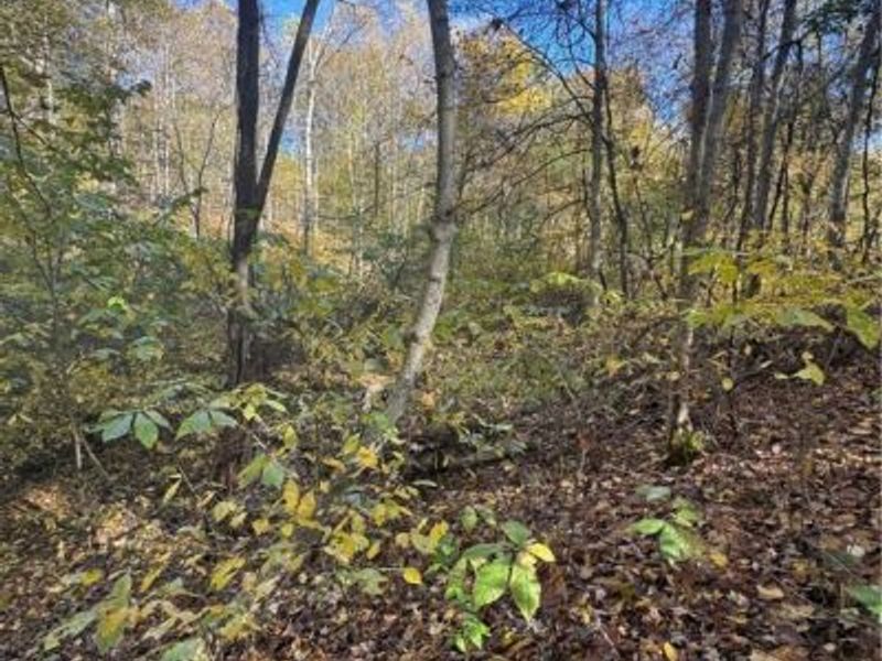 F B Eye Road, Blue Rock, OH 43720 Photo 21