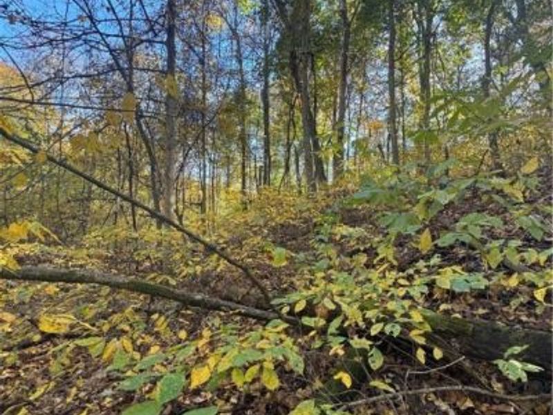 F B Eye Road, Blue Rock, OH 43720 Photo 23