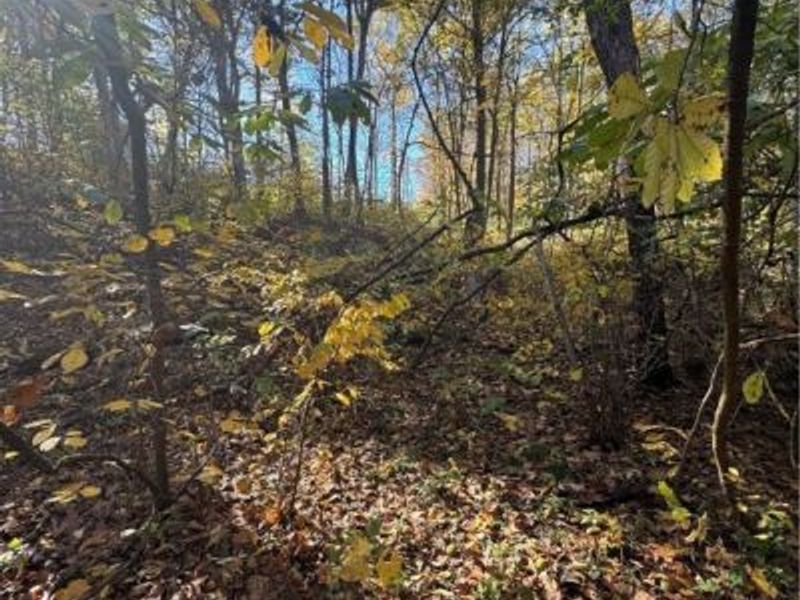 F B Eye Road, Blue Rock, OH 43720 Photo 24