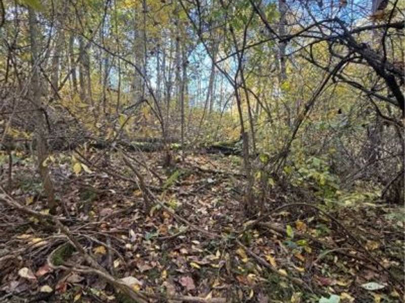 F B Eye Road, Blue Rock, OH 43720 Photo 25