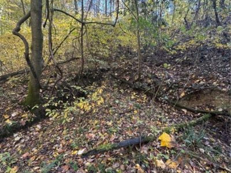 F B Eye Road, Blue Rock, OH 43720 Photo 26