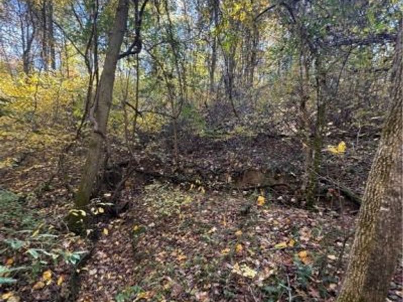 F B Eye Road, Blue Rock, OH 43720 Photo 27