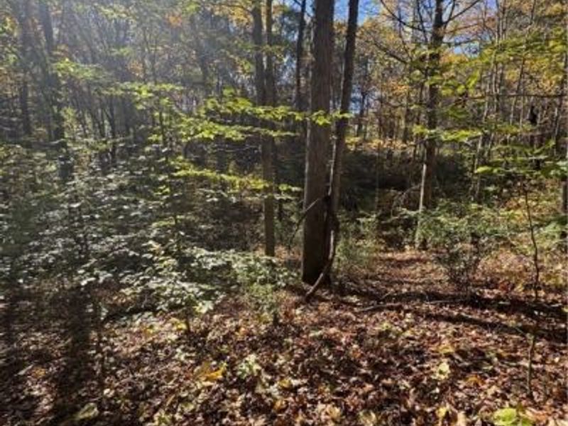 F B Eye Road, Blue Rock, OH 43720 Photo 29