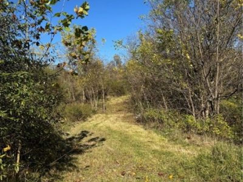 F B Eye Road, Blue Rock, OH 43720 Photo 3