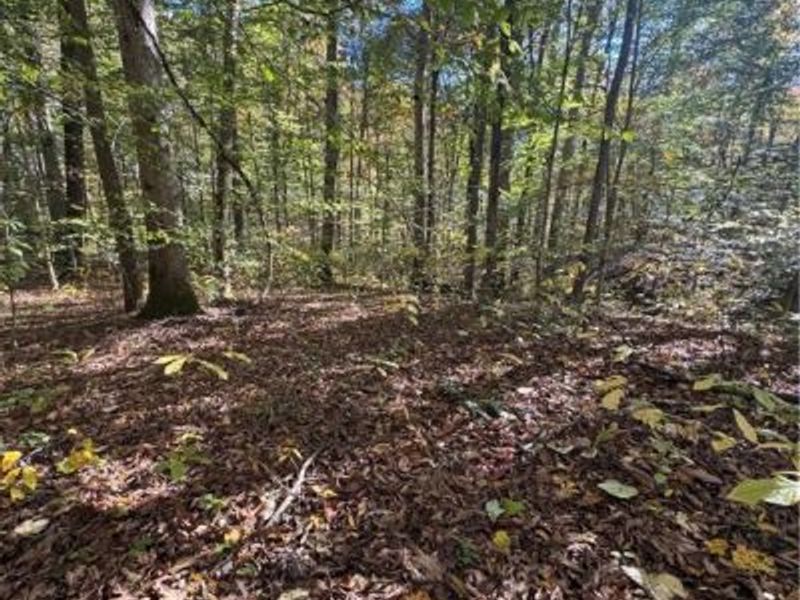 F B Eye Road, Blue Rock, OH 43720 Photo 30