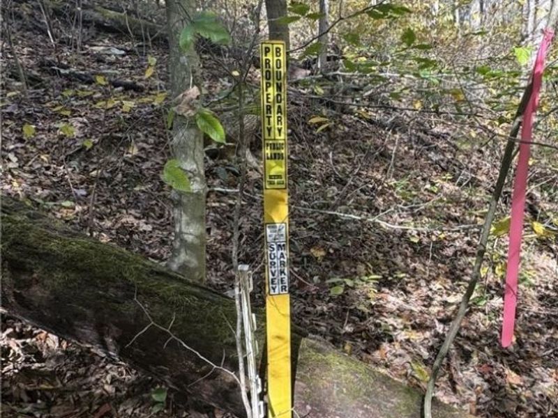 F B Eye Road, Blue Rock, OH 43720 Photo 31