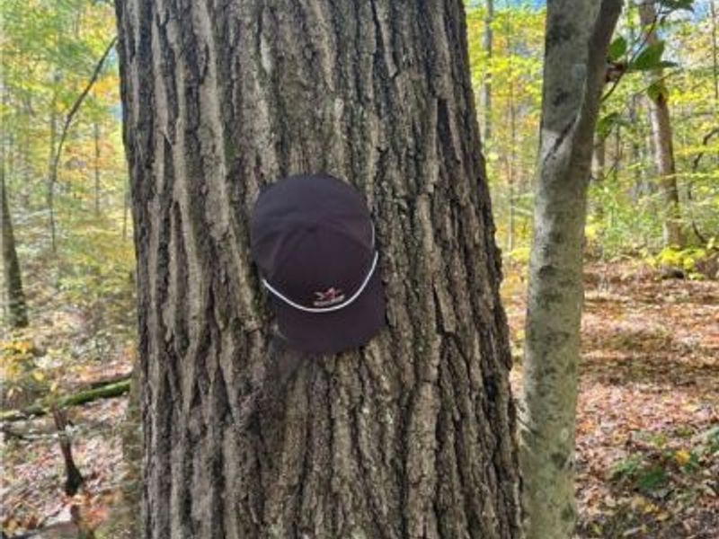 F B Eye Road, Blue Rock, OH 43720 Photo 32