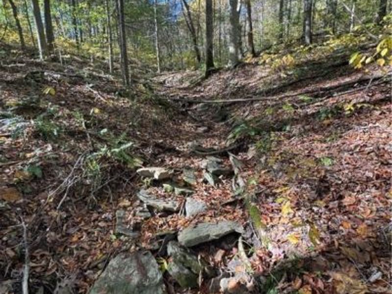 F B Eye Road, Blue Rock, OH 43720 Photo 34