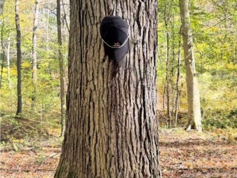 F B Eye Road, Blue Rock, OH 43720 Photo 35