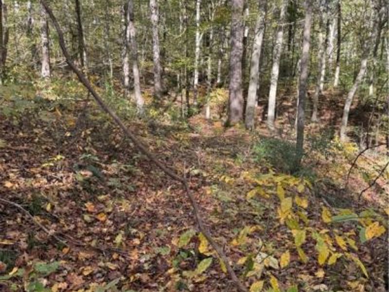 F B Eye Road, Blue Rock, OH 43720 Photo 36