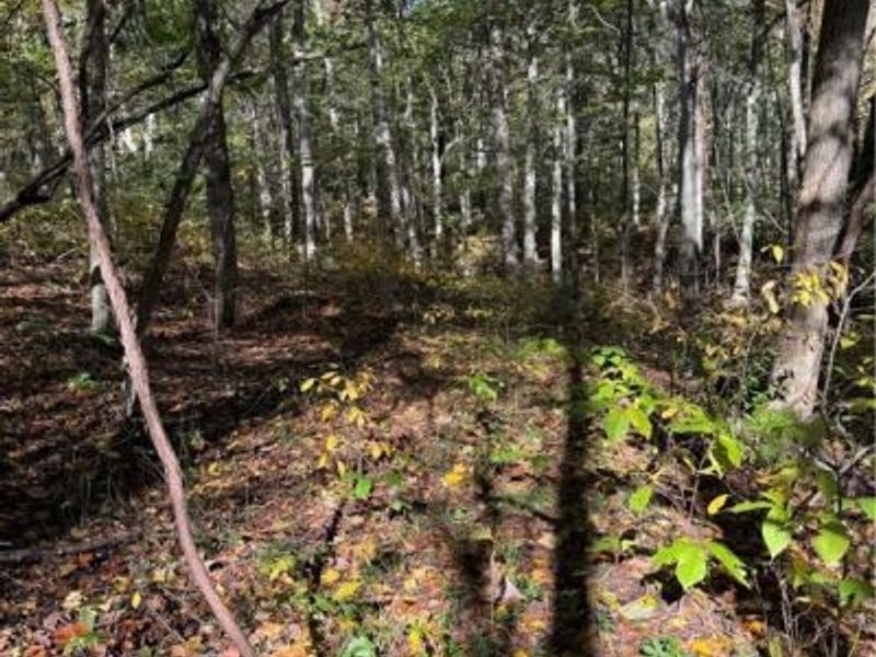 F B Eye Road, Blue Rock, OH 43720 Photo 37