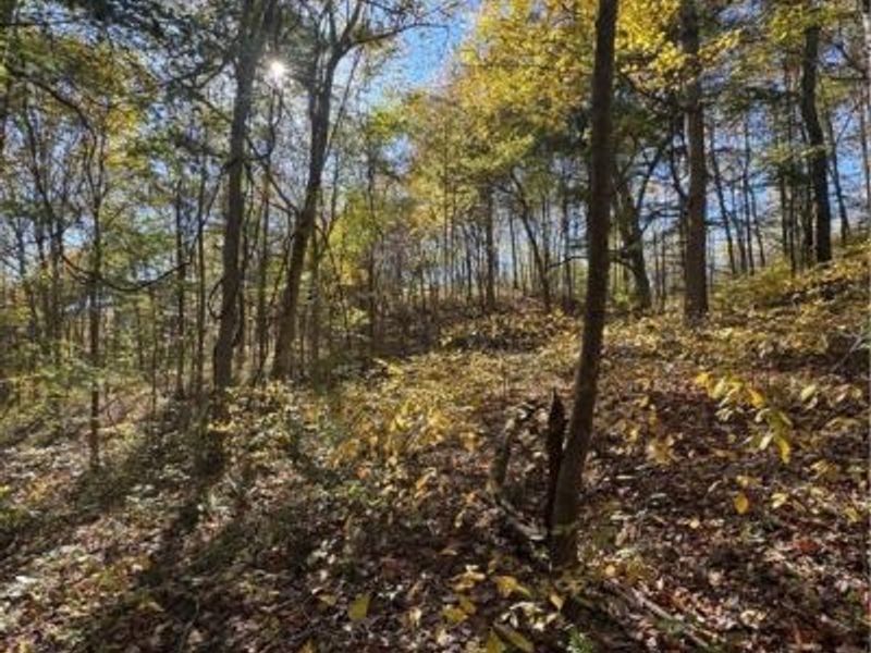 F B Eye Road, Blue Rock, OH 43720 Photo 38