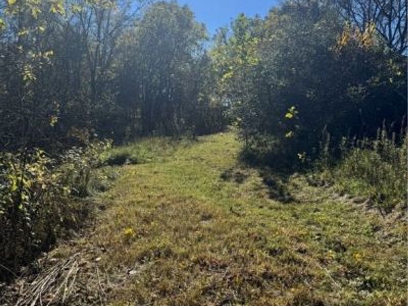 F B Eye Road, Blue Rock, OH 43720 Photo 4