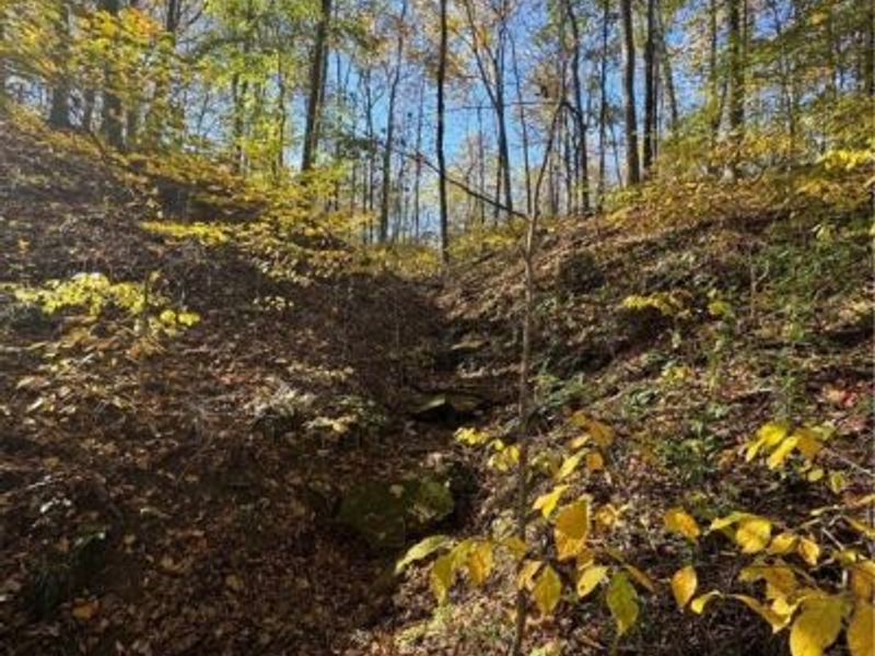 F B Eye Road, Blue Rock, OH 43720 Photo 40