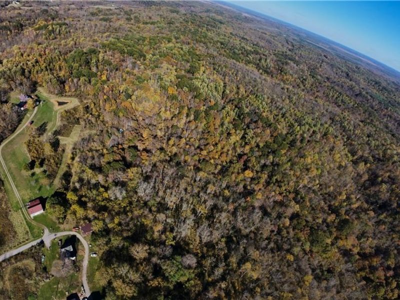 F B Eye Road, Blue Rock, OH 43720 Photo 41