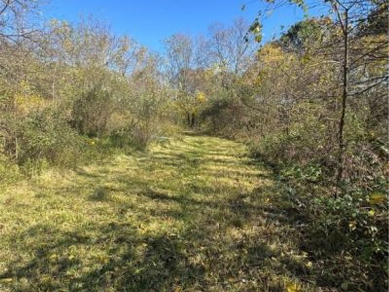 F B Eye Road, Blue Rock, OH 43720 Photo 5