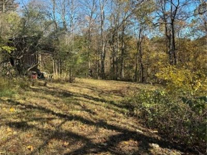 F B Eye Road, Blue Rock, OH 43720 Photo 6