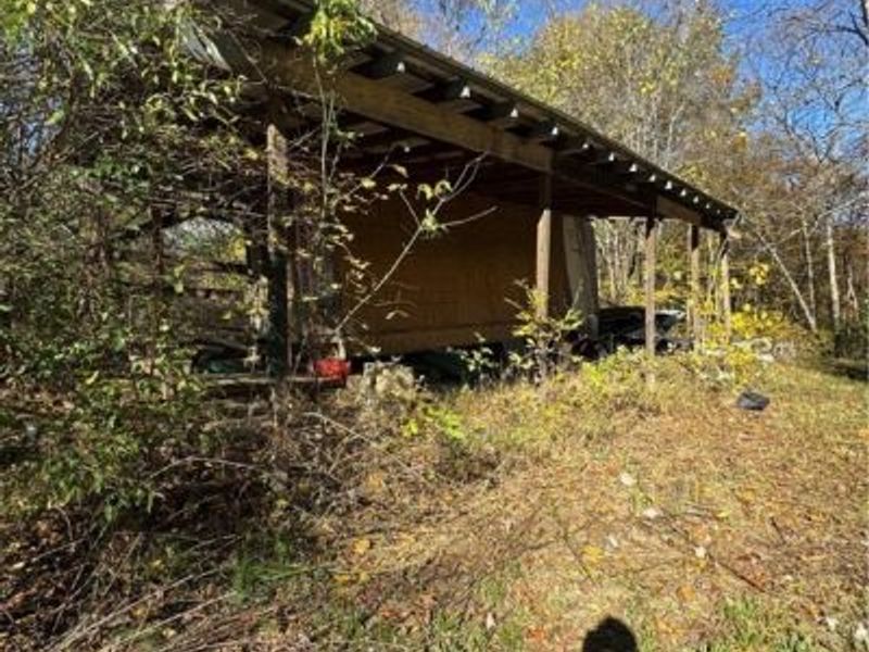 F B Eye Road, Blue Rock, OH 43720 Photo 7