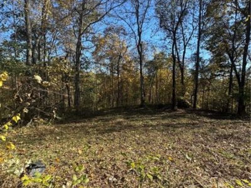 F B Eye Road, Blue Rock, OH 43720 Photo 8