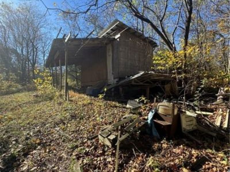 F B Eye Road, Blue Rock, OH 43720 Photo 9