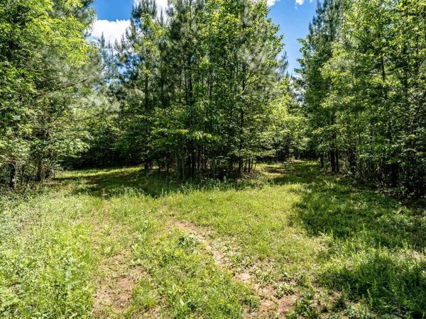 Lot 1 GREEN CREEK RD, SCHUYLER, VA 22969