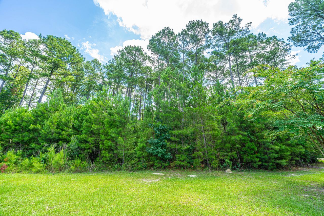 001 Southern Acres Lane Photo 10