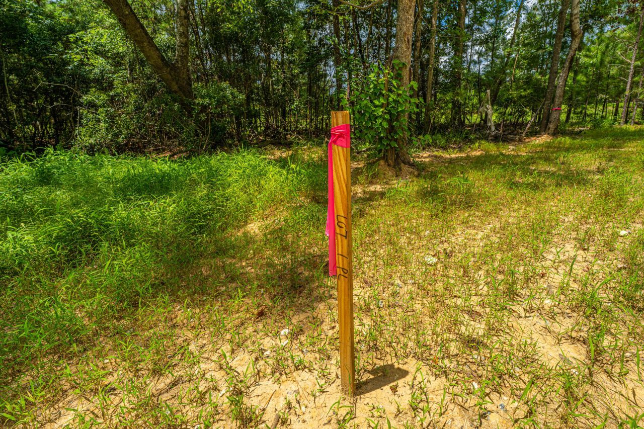 001 Southern Acres Lane Photo 15