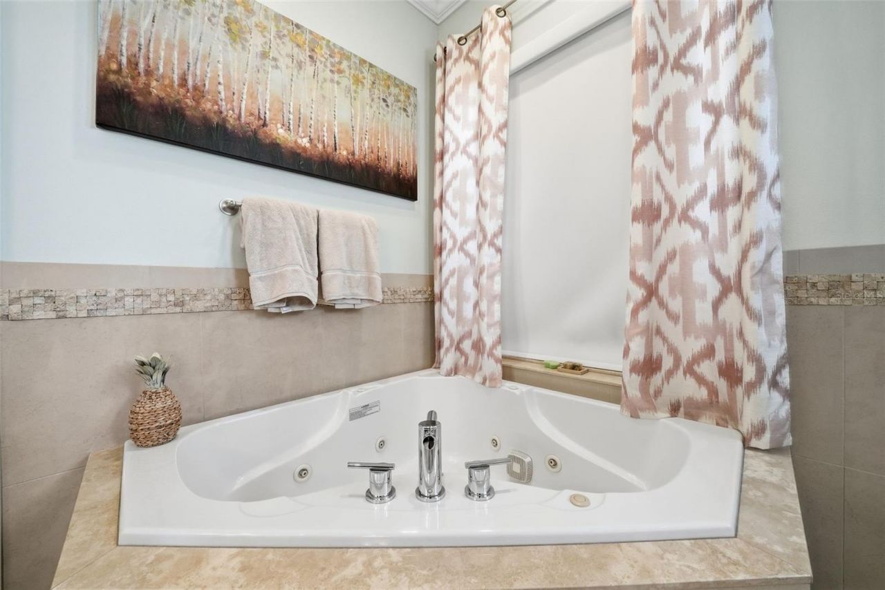 122 Waterberry Drive, Tarpon Springs, FL 34688 Photo