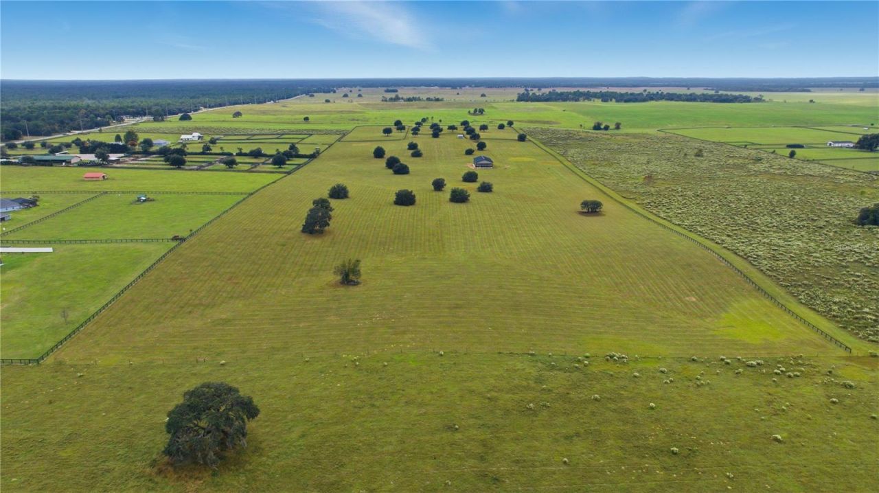 7950 SW 140th Avenue, Lot #Marion, Dunnellon, FL 34432 Photo