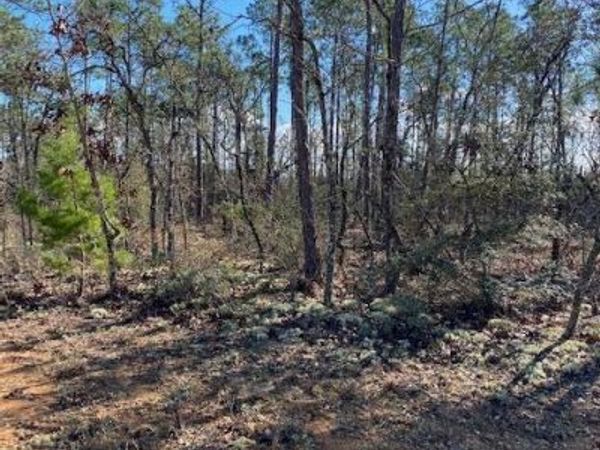 00 Orange Peel, Marianna, FL 32448