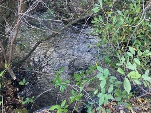 21526 NW Isoletta Lane, Altha, FL 32421