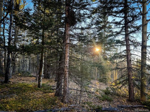 6817 Heckman Road , San Luis, CO 81152